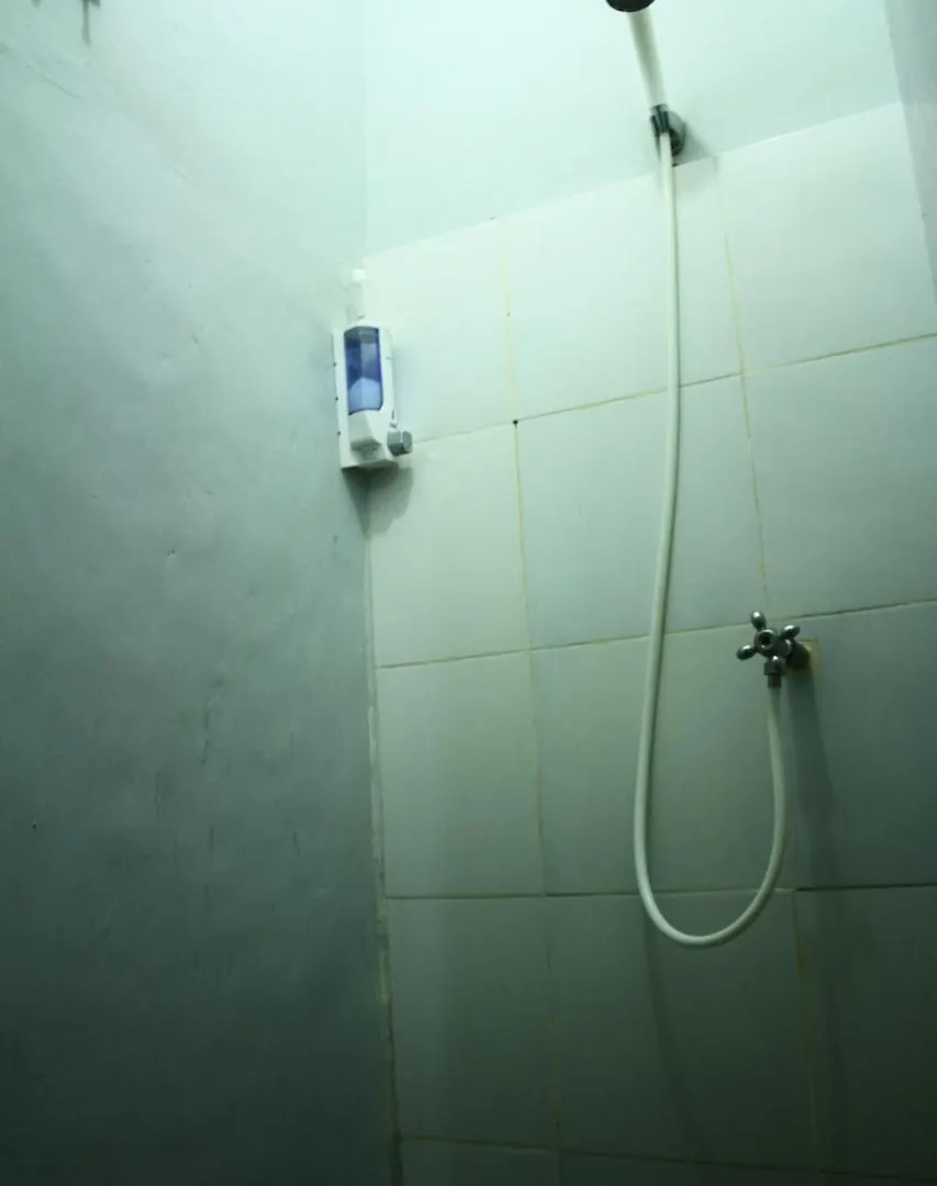 Bali Green Hostel 塞米亚克 印尼
