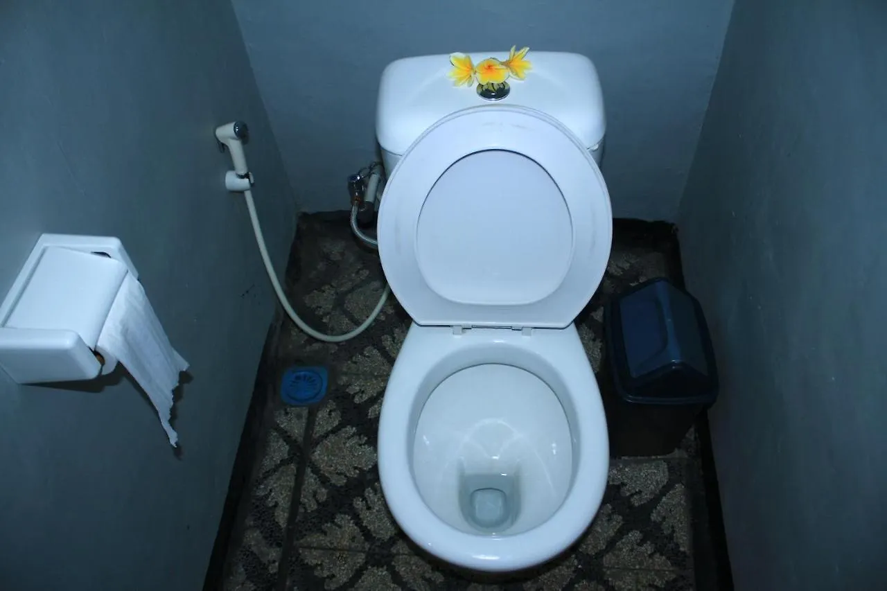 Bali Green Hostel 塞米亚克