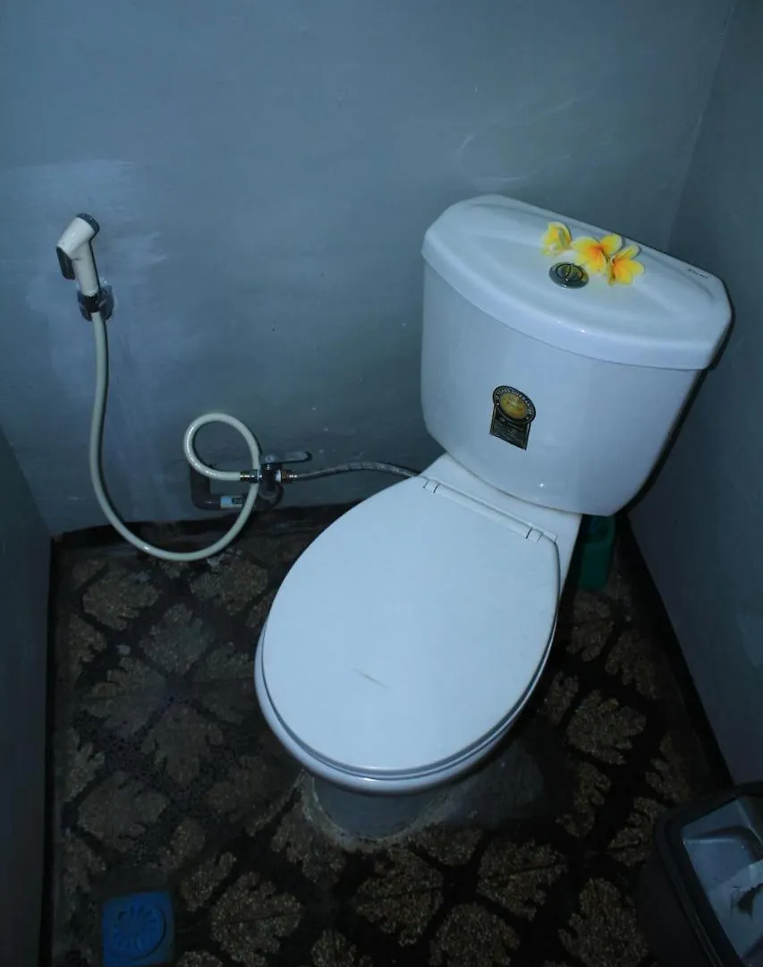 Bali Green Hostel 塞米亚克 0*,  印尼